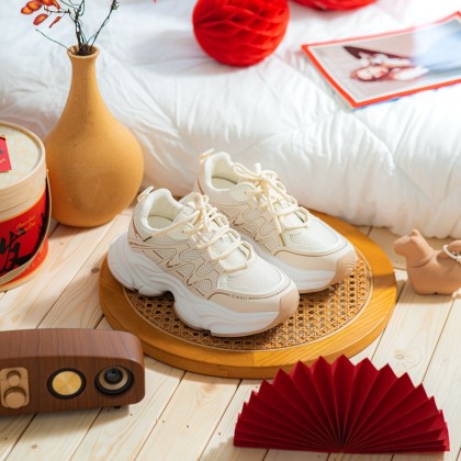 Athleisure Mesh Chunky Sneakers 卡杏老爹款